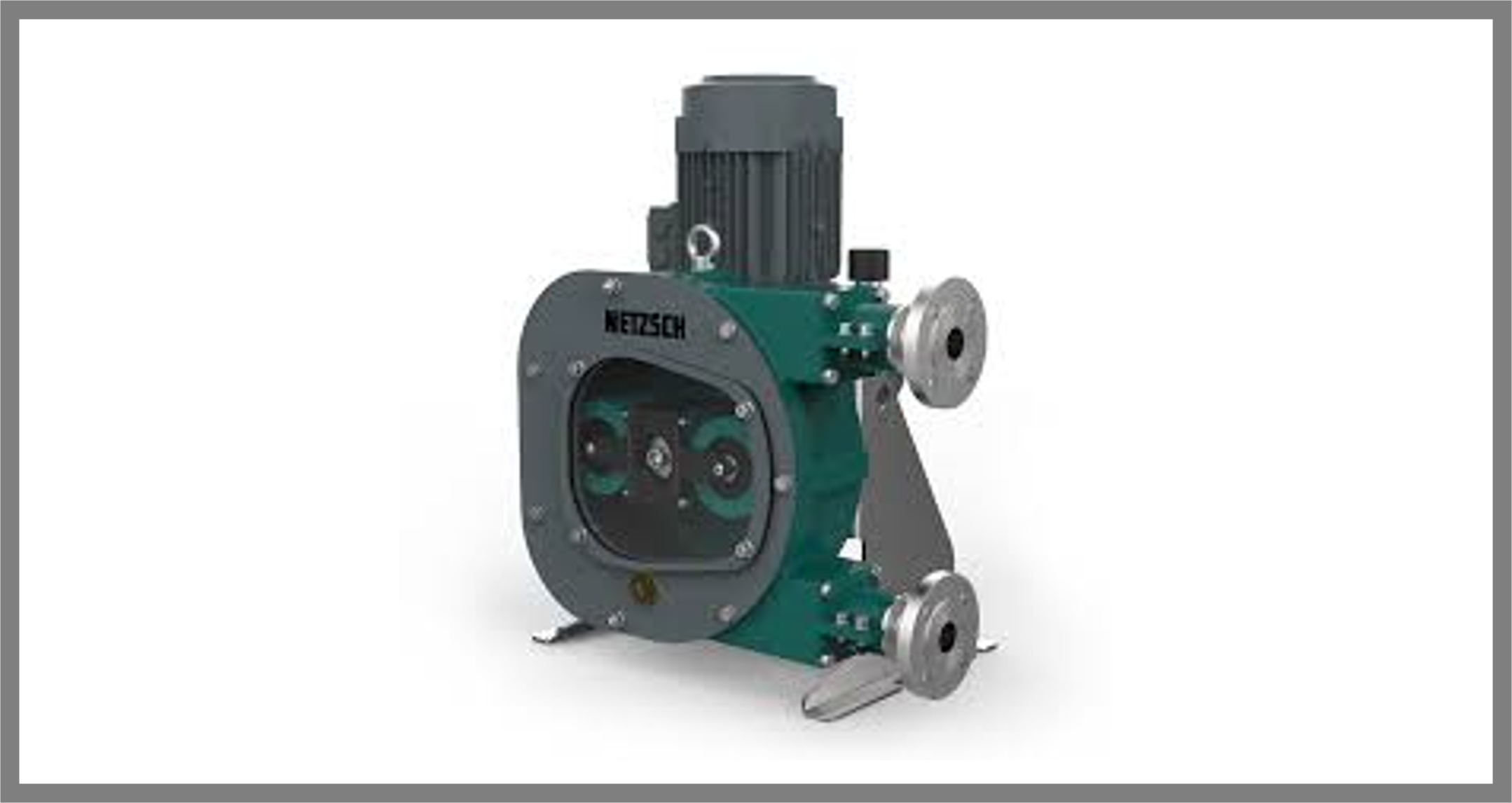 PERISTALTIC PUMPS